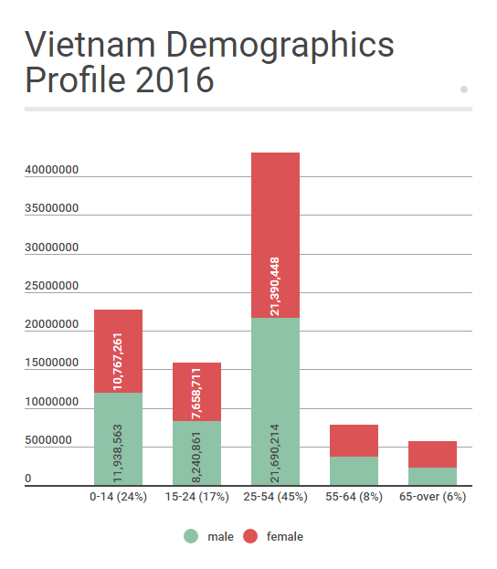 INTERNET USAGE IN VIETNAM – AdCombo