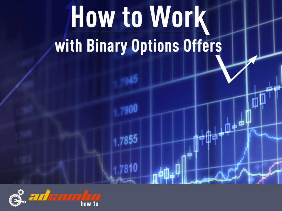 Binary options niche